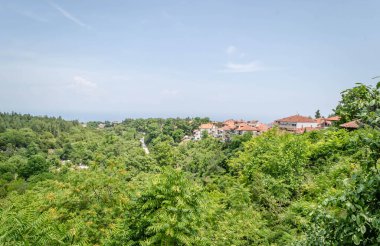 Yunanistan 'ın Olimpos Dağı' ndaki Enipeas Nehri Kanyonu 'nun altındaki Litohoro köyündeki evler.