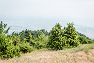 Yunanistan 'ın Stavros kentindeki gözcü noktasından Olimpos Dağı' nın panoramik manzarası.