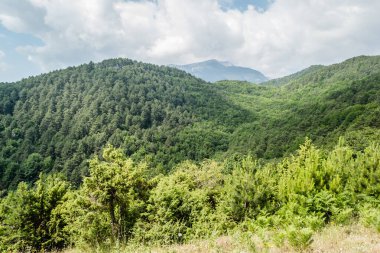Yunanistan 'ın Stavros kentindeki gözcü noktasından Olimpos Dağı' nın panoramik manzarası.