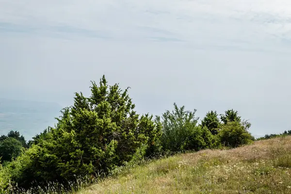 Yunanistan 'ın Stavros kentindeki gözcü noktasından Olimpos Dağı' nın panoramik manzarası.