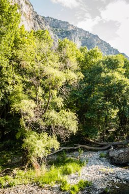 Yunanistan 'ın Tembi vadisindeki Pinios Nehri manzarası.