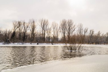 Novi Sad yakınlarındaki Tuna Nehri 'nin donmuş kollarının panoraması.
