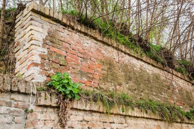 Savoy Prensi Eugene 'in Petrovaradin Kalesi, Novi Sad, Sırbistan' daki manzarası.