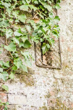 Sırbistan 'ın Novi Sad kentindeki Petrovaradin Kalesi' ndeki Savoy Prensi Eugene 'in eski duvarlarındaki açıklıklar.
