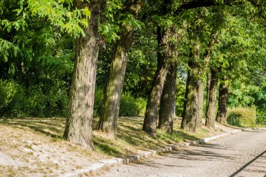 Ortaçağ Petrovaradin Kalesi Novi Sad Sırbistan.