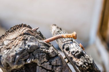 The remains of the burnt house. Ruined and collapsed house burnt and damaged in the fire with remains of the wooden reinforcement poles of roof selective focus. Burned house