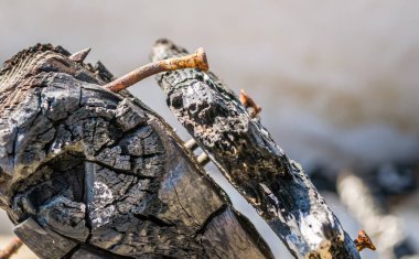 The remains of the burnt house. Ruined and collapsed house burnt and damaged in the fire with remains of the wooden reinforcement poles of roof selective focus. Burned house