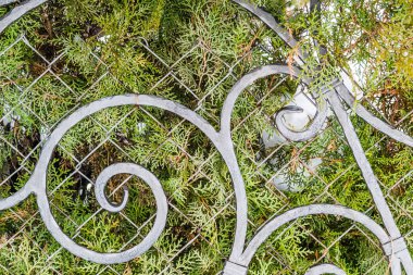 Dekoratif spiralli çelik sokak çitleri.