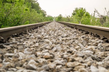 Ormanın içinden demiryolu.