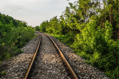 Ormanın içinden demiryolu.