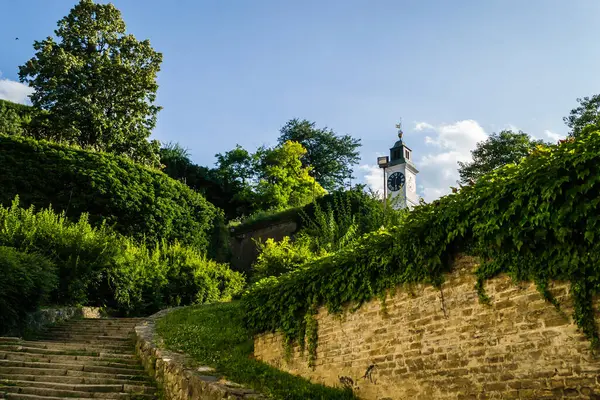 Ortaçağ Petrovaradin Kalesi Novi Sad Sırbistan.