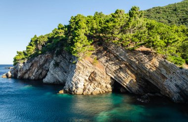 Karadağ 'ın Petrovac kentinde, ebedi yeşil ağaç dallarıyla kaplı güneşli uçurumlar.