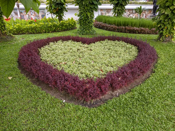 a garden with a variety of plants with heart-shaped cutouts