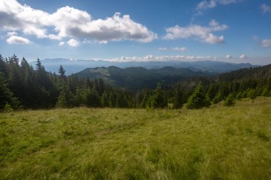 Green meadows and spruce forests in the Piatra Craiului mountain range in the Romanian Carpathians