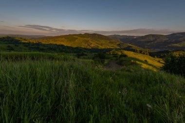 sunset over green meadows and mountains with a meadow and a tree in the middle of Romania