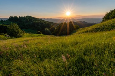 sunset over green meadows and mountains with a meadow and a tree in the middle of Romania