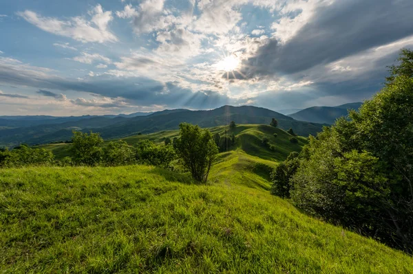 sunset over green meadows and mountains with a meadow and a tree in the middle of Romania
