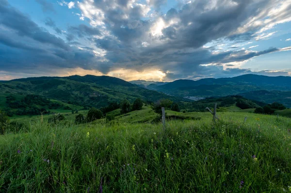 sunset over green meadows and mountains with a meadow and a tree in the middle of Romania