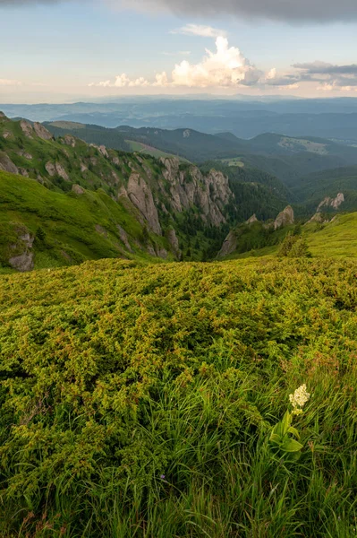 Green meadows with rocks in Romanian mountains in Muntii Ciucas