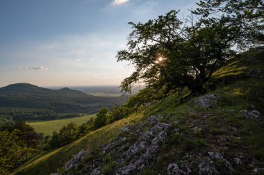 view of hill meadows and Spi Castle in the Slovak Little Carpathian Mountains with the setting sun in the background