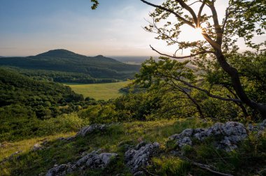 view of hill meadows and Spi Castle in the Slovak Little Carpathian Mountains with the setting sun in the background
