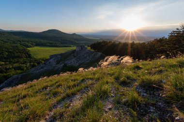 view of hill meadows and Spi Castle in the Slovak Little Carpathian Mountains with the setting sun in the background and flying gras stipa in foreground