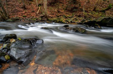 flowing river over stones with autumn leaves in the forest in the Czech Republic