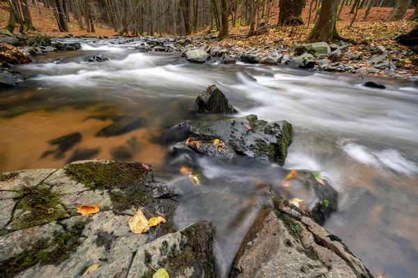 flowing river over stones with autumn leaves in the forest in the Czech Republic