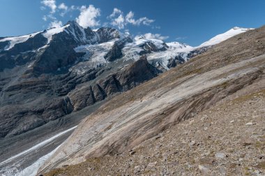 Grossglockner Dağı sonbaharda, Hohe Tauern dağlarındaki Avusturya Alpleri 'nde, göl taşları ve sarı çiçeklerle kaplı.