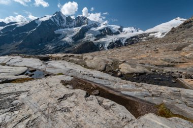 Grossglockner Dağı sonbaharda, Hohe Tauern dağlarındaki Avusturya Alpleri 'nde, göl taşları ve sarı çiçeklerle kaplı.