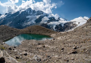 Grossglockner Dağı sonbaharda, Hohe Tauern dağlarındaki Avusturya Alpleri 'nde, göl taşları ve sarı çiçeklerle kaplı.