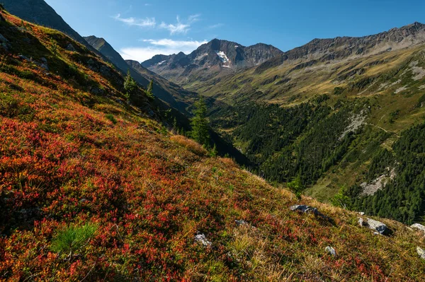 Hohe Tauern dağlarındaki Avusturya Alplerinde dağların ve portakal ağaçlarının güzel sonbahar manzarası