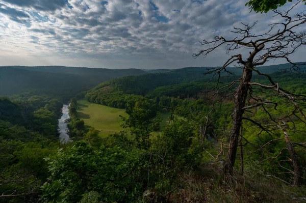 捷克共和国莫拉维亚的Podyj草地国家公园中蜿蜒的河流 雾气弥漫的森林和落日的景象 — 图库照片