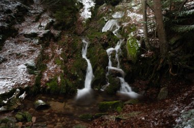 Kış manzarası donmuş orman, dağlarda fil heykeli Kralicky Sneznik Çek Cumhuriyeti