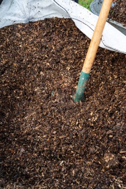 man working in the vegetable garden. Garden work. Shovel with wood chips for the garden. Wheelbarrow for the garden. Man filling his wheelbarrow for the vegetable patch