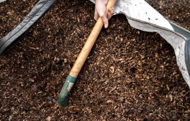 man working in the vegetable garden. Garden work. Shovel with wood chips for the garden. Wheelbarrow for the garden. Man filling his wheelbarrow for the vegetable patch