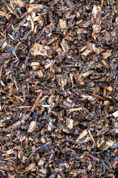 wood chips for the garden. Close up of recycle wood. Wood for soil enrichment. Place to put text. Ecology concept for gardening