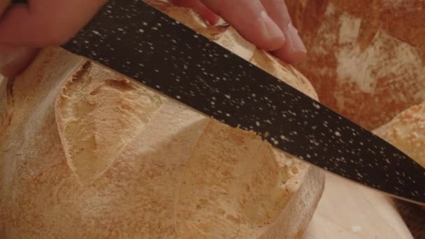 Hand Raises Cape Fresh Bread Traditional Recipe Gluten Footage — Video Stock