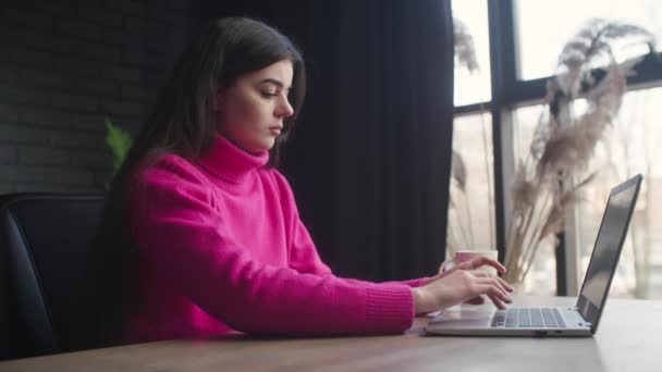 Piękna Dziewczyna Różowym Swetrze Używająca Laptopa Korespondencji Pracodawcą Młoda Brunetka — Wideo stockowe