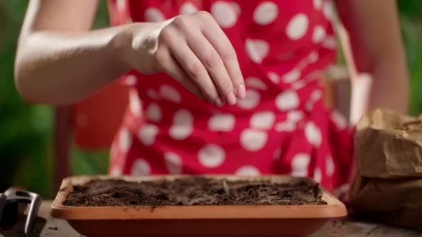 土に種を入れる女性のスローモーションビデオ 花の鍋に種を蒔く赤いドレスの女性の作物のビュー ホームガーデニング 高品質のフルHd映像 — ストック動画