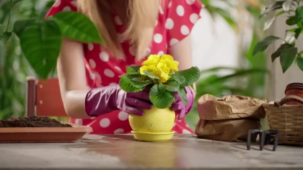 Elbiseli Bahçe Eldivenli Kız Çiçek Dikiyor Bahçıvanlık Yapan Bir Kadının — Stok video