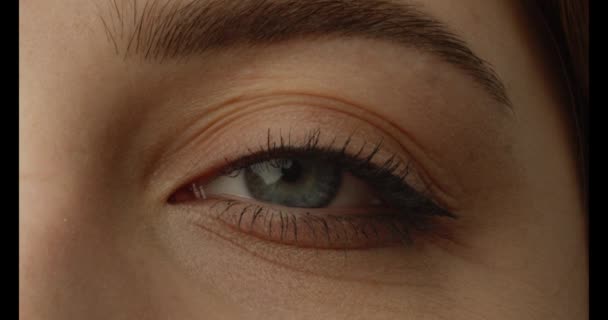 Närbild Ett Kvinnligt Öga Med Svarta Ögonfransar Gråögd Kvinna Som — Stockvideo