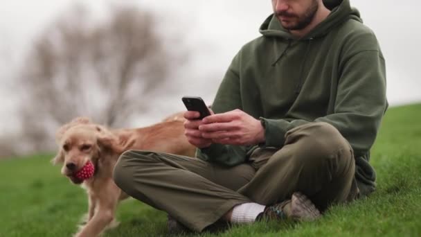 Man Sits Grass Phone His Hands Puppies Run Him Brunette — Stock Video