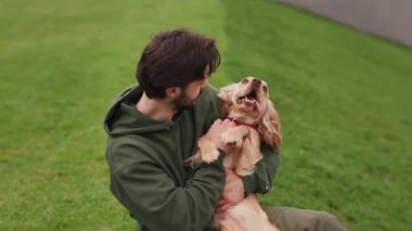 Küçük yeşil bir tepede oturan bir adam kollarında bir Cocker Spaniel tutuyor ve boynunu kaşıyordu. Sakallı esmer bir adam çimlerin üzerinde otururken köpeğiyle oynar. Yüksek kalite 4k görüntü