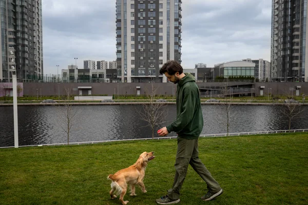 ある若い男が曇りの朝公園で犬を散歩している 髭を生やした男は散歩中に犬に小さな赤いボールを与える 高品質の写真 — ストック写真