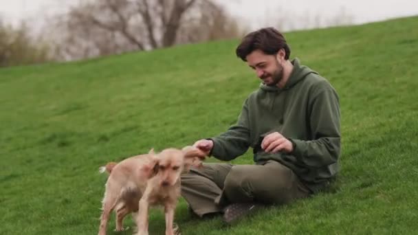 Lächelnder Bärtiger Mann Sitzt Auf Einem Grünen Rasen Und Spielt — Stockvideo