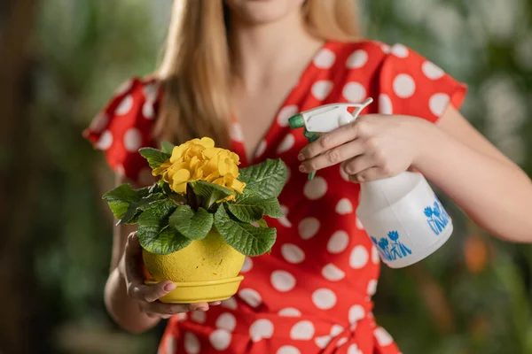Sárga Virágokat Locsolt Fazékban Lassított Felvétel Egy Lányról Aki Kertészkedik — Stock Fotó