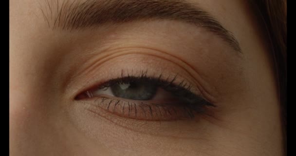 Закрийся Збільшення Макро Очей Повільніше Приваблива Брюнетка Блакитними Очима Молода — стокове відео