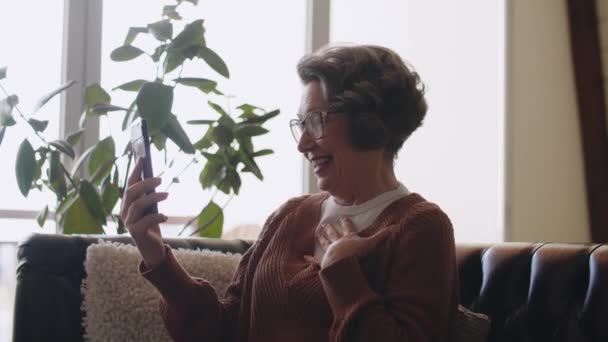 Excité Femme Heureuse Utilisatrice Téléphone Mobile Parlant Sur Appel Vidéo — Video