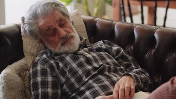 Hombre Pelo Gris Quedó Dormido Sofá Sosteniendo Libro Sus Manos — Vídeos de Stock